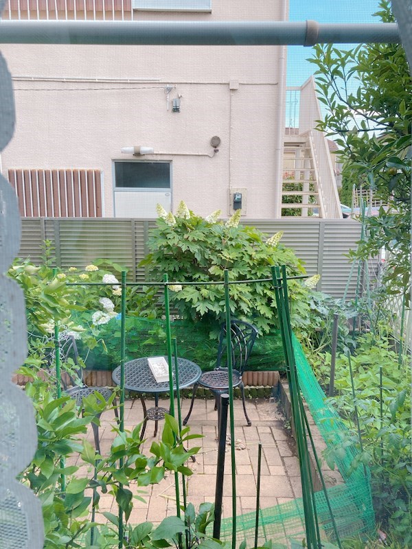 ウエハウス 眺望